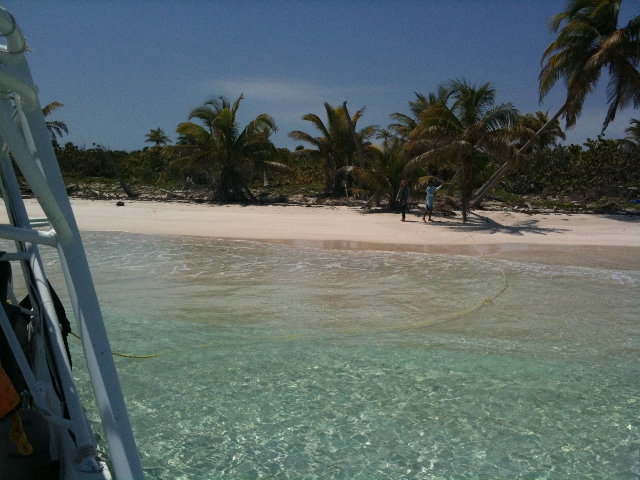  在清水中浮潜游览 